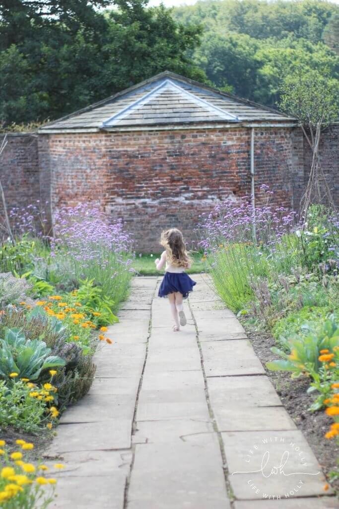 Potager Style Garden - Sunflowers in Victorian Conservatory - Harewood House - Seeds of Hope Exhibition - Life with Holly Blog