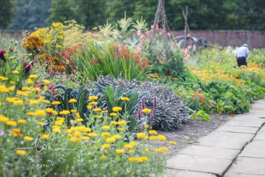 Beautiful Potager Style Garden - Sunflowers in Victorian Conservatory - Harewood House - Seeds of Hope Exhibition - Life with Holly Blog