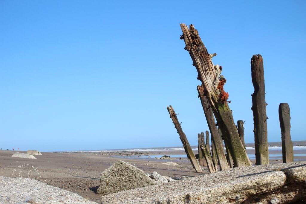 Driftwood Coastal Defences Spurn Point 