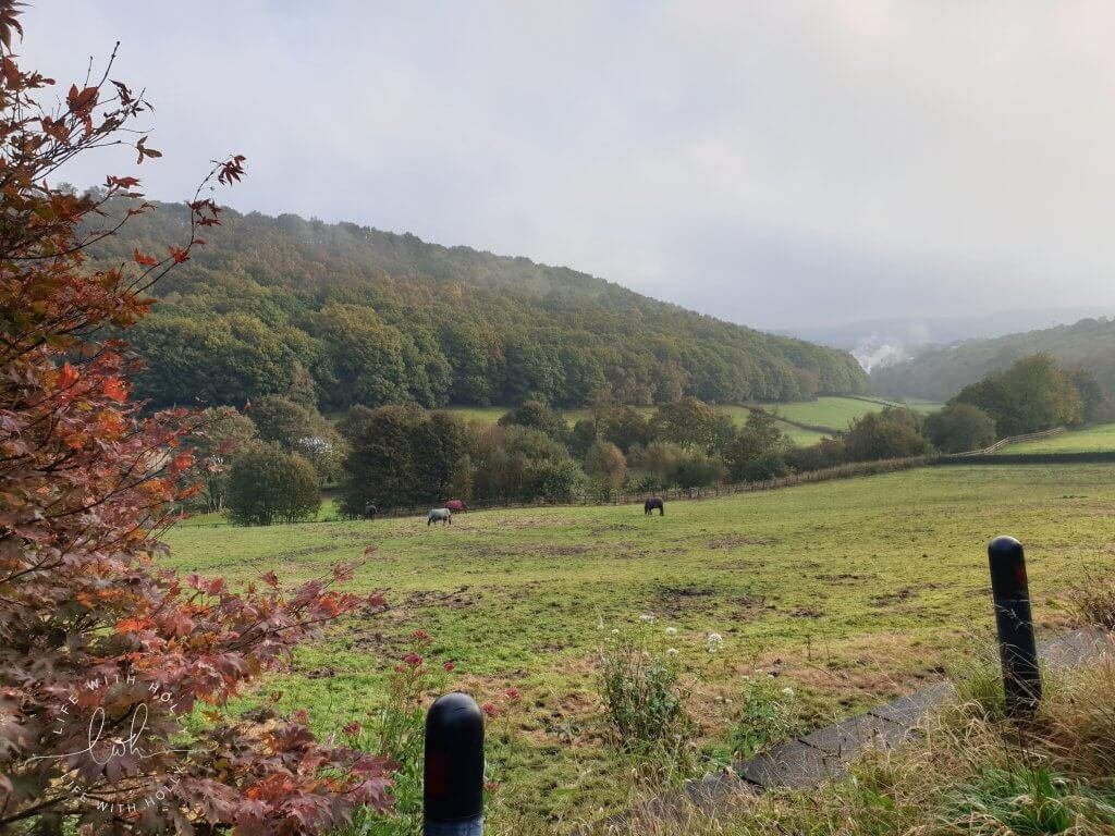 Beautiful Yorkshire on an Autumn Day - Autumnal Foraging Tips by Life with Holly