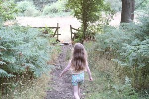 Summer Walks - Life with Holly