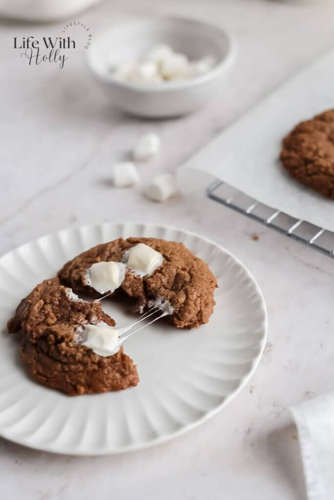 Hot chocolate cookies