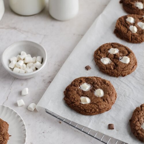 Hot chocolate cookies