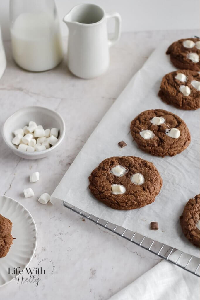 Hot chocolate cookies