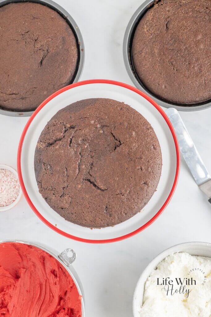 Undecorated Chocolate peppermint layer cake