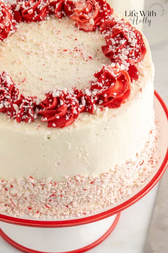 Chocolate peppermint layer cake close up