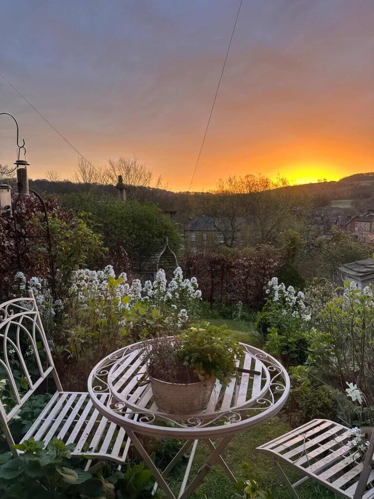 A sunrise over a garden